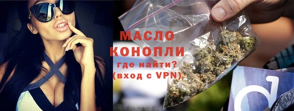 сатива Аркадак