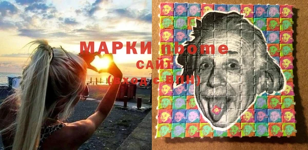 сатива Аркадак