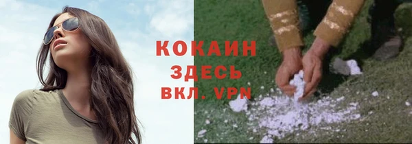 меф Арсеньев