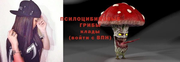 сатива Аркадак