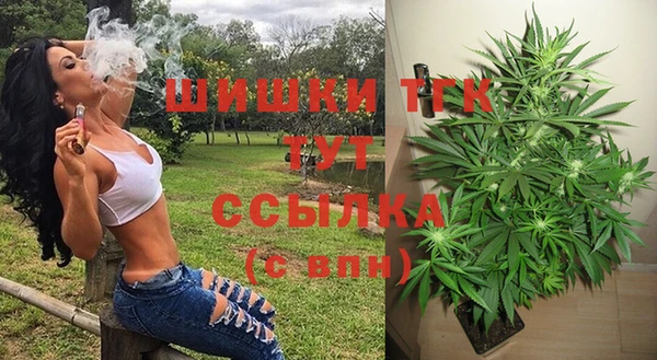сатива Аркадак