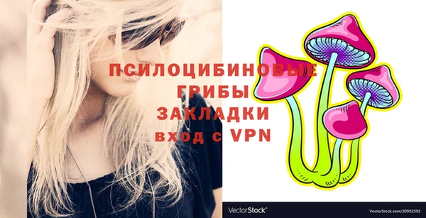 дживик Армянск