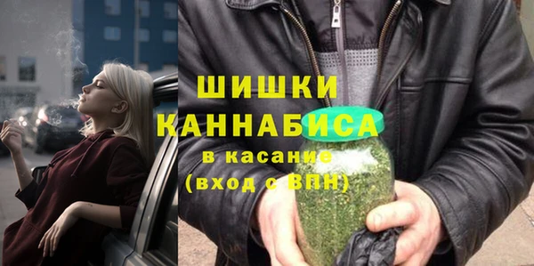 сатива Аркадак