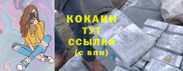 сатива Аркадак