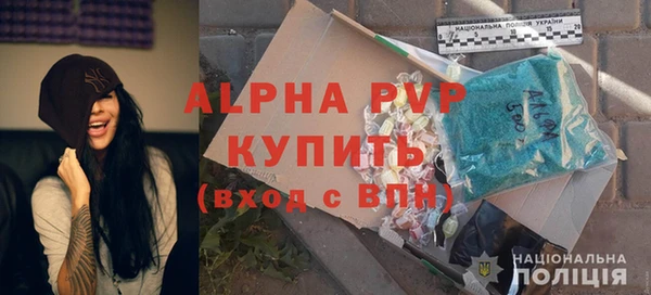сатива Аркадак